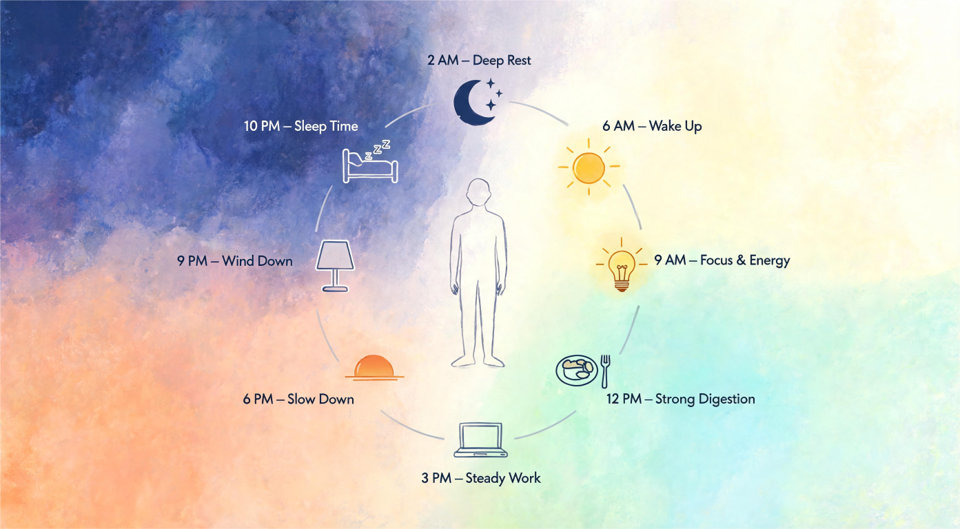 What Is Circadian Rhythm in Ayurveda