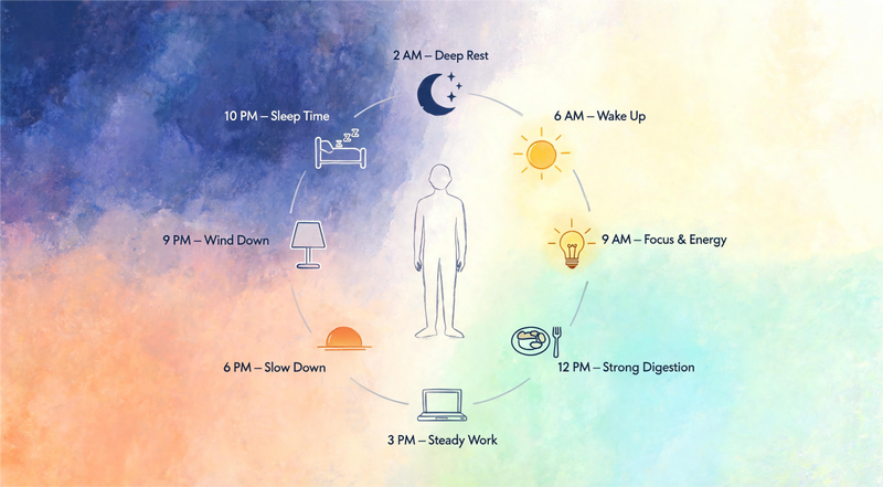 What Is Circadian Rhythm in Ayurveda?