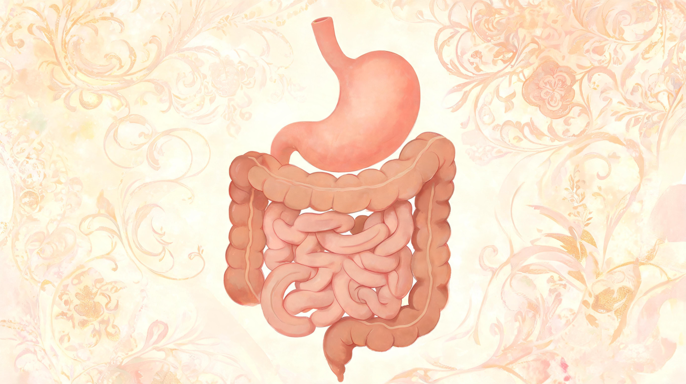 Effective Remedies of Ayurveda for Gut Health