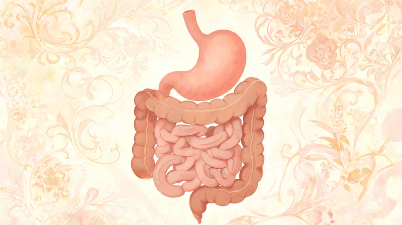 Effective Remedies of Ayurveda for Gut Health & Better Digestion