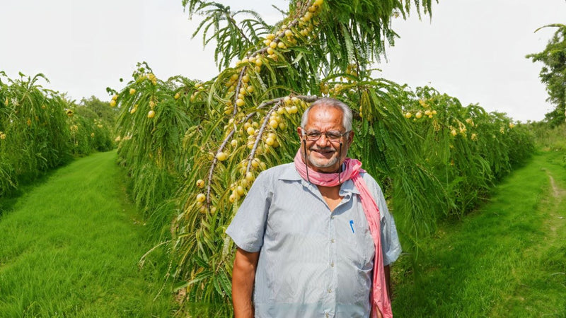 From Fabrics to Fields: The Unfolding Journey of Narayan Dass Prajapati