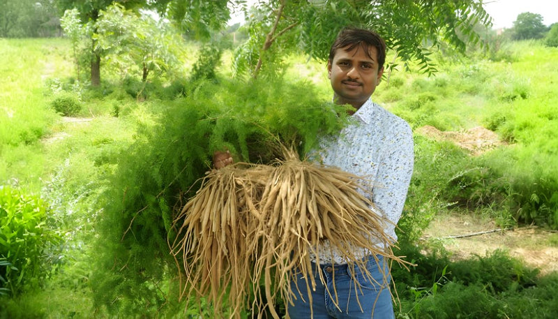 The Choice That Changed Everything: How Tarun Prajapati Refused Job and Built a Global Legacy