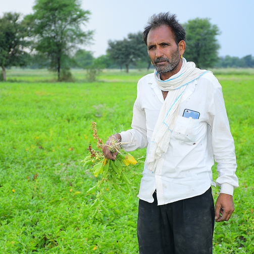 Mitthu Lal