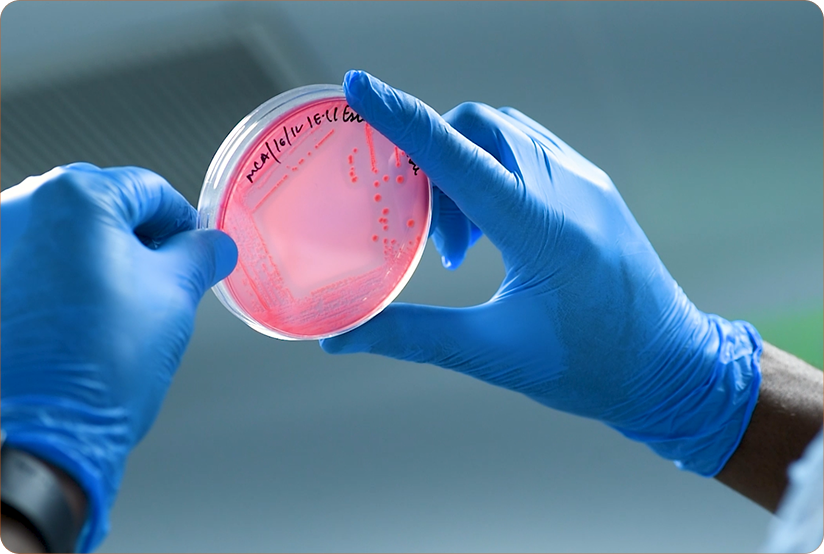 Microbiological