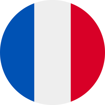 FRANCE FLAG ICON